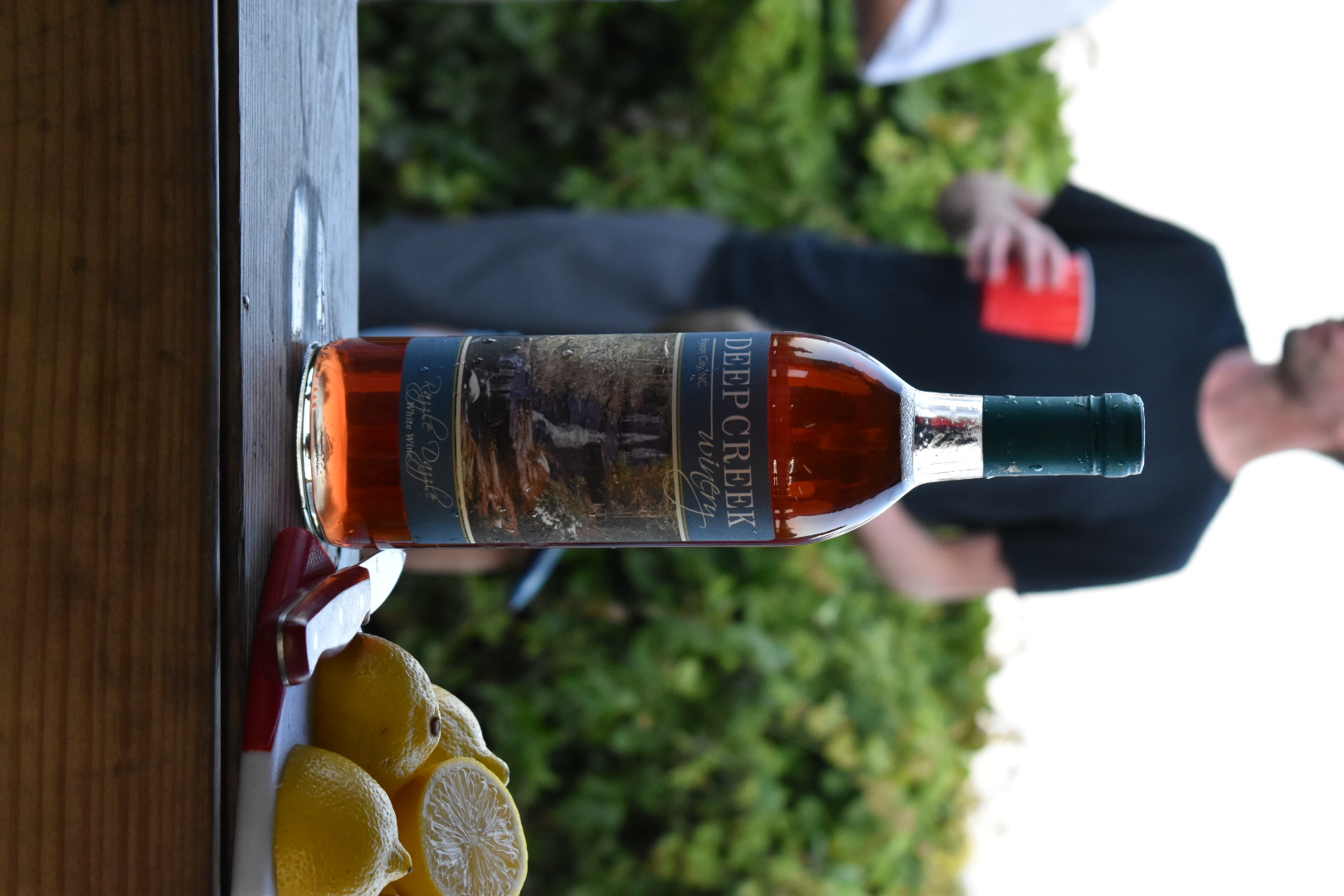 Family photography session